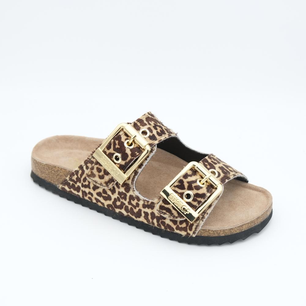 01788_20|d34094a7026ef5449cc1c41ea35b8f36